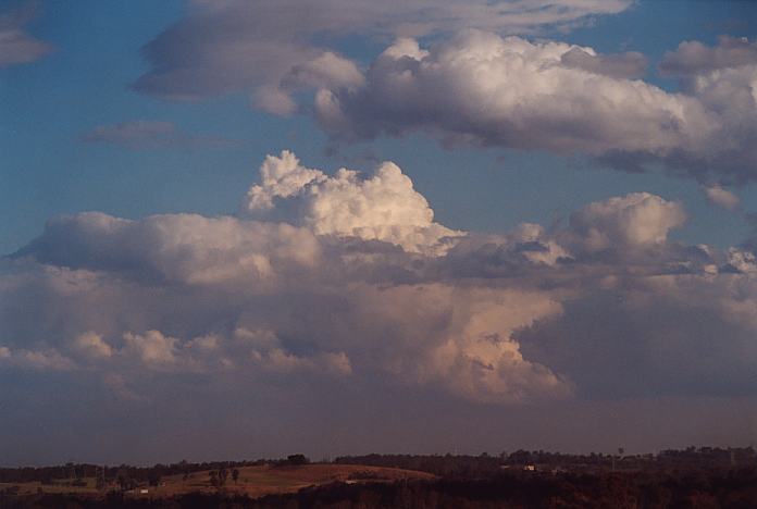 thunderstorm cumulonimbus_calvus : Rooty Hill, NSW   24 October 2001