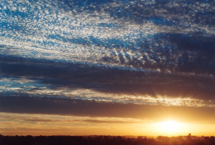 altocumulus mackerel_sky : Schofields, NSW   30 October 2001