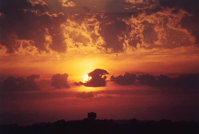 favourites jimmy_deguara : Schofields, NSW   5 November 2001