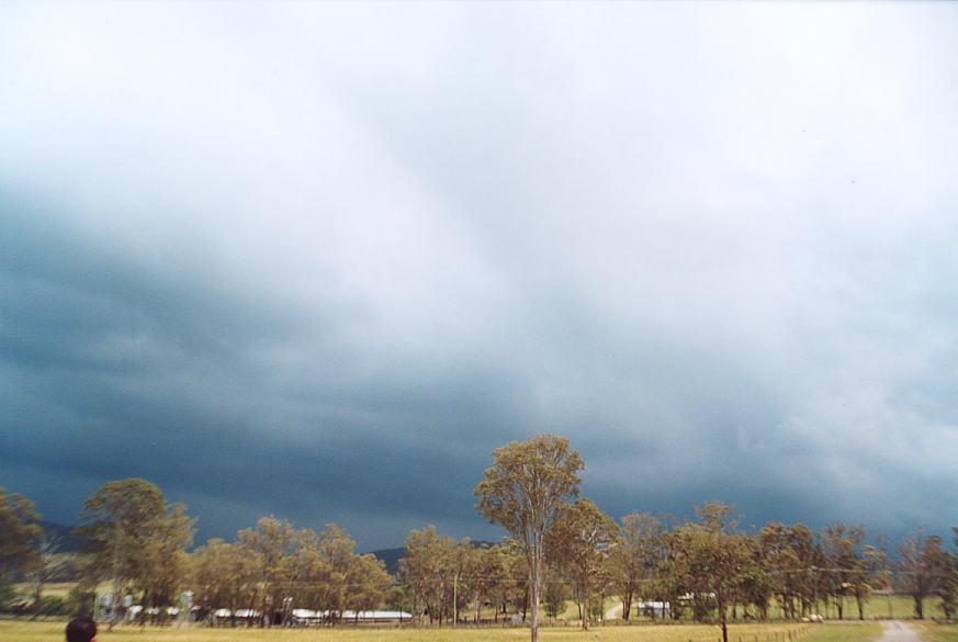 contributions received : Booral, NSW<BR>Photo by Geoff Thurtell   11 November 2001