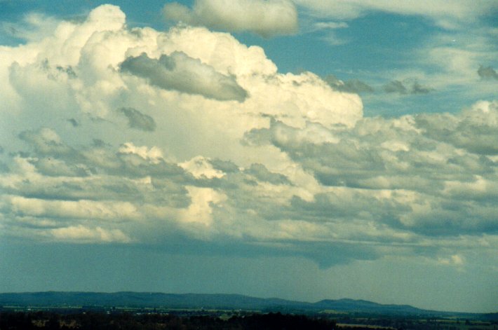 thunderstorm cumulonimbus_incus : Parrots Nest, NSW   11 November 2001