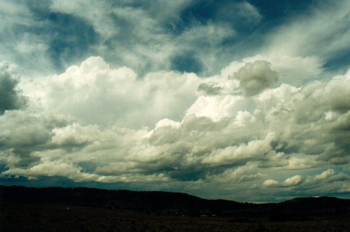 thunderstorm cumulonimbus_calvus : Parrots Nest, NSW   11 November 2001