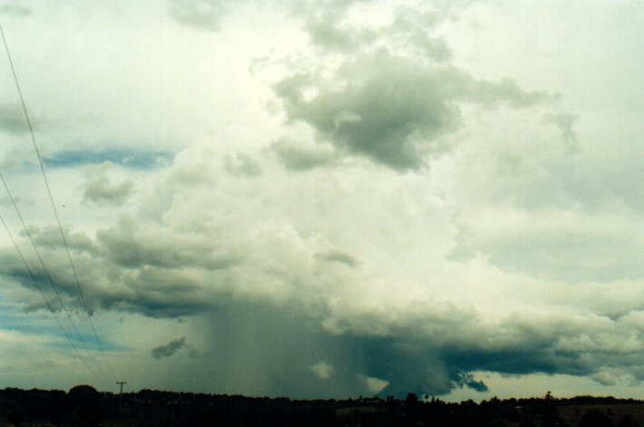 cumulonimbus thunderstorm_base : near Lismore, NSW   11 November 2001