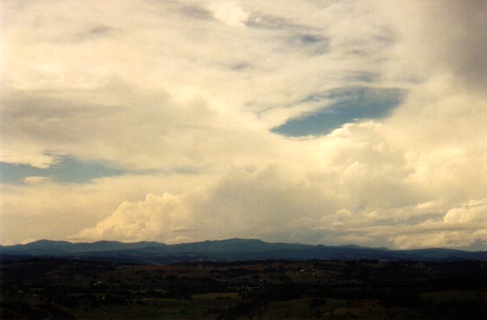 thunderstorm cumulonimbus_calvus : McLeans Ridges, NSW   11 November 2001