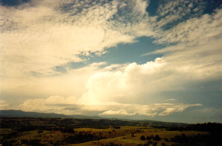 cumulonimbus supercell_thunderstorm : McLeans Ridges, NSW   11 November 2001