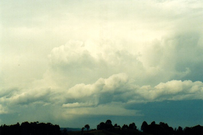 inflowband thunderstorm_inflow_band : McLeans Ridges, NSW   11 November 2001