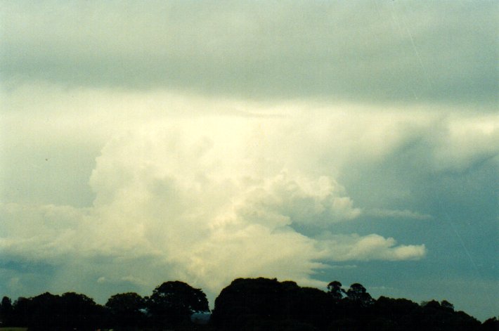 inflowband thunderstorm_inflow_band : McLeans Ridges, NSW   11 November 2001