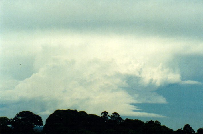 cumulonimbus supercell_thunderstorm : McLeans Ridges, NSW   11 November 2001