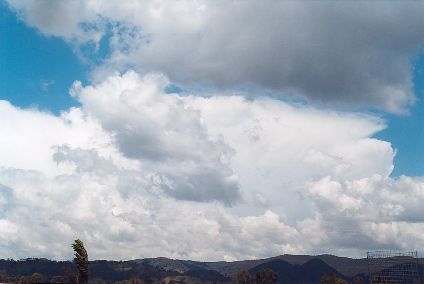 contributions received : N of Mudgee, NSW<BR>Photo by Geoff Thurtell   18 November 2001