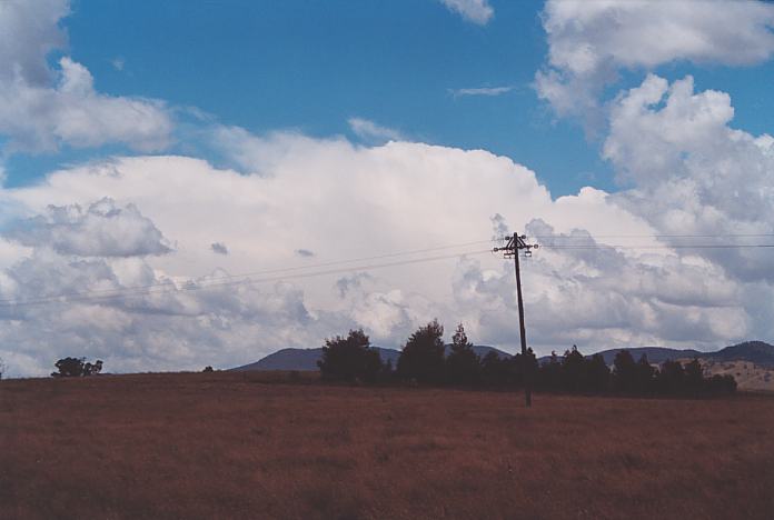 cumulus mediocris : Mudgee, NSW   18 November 2001