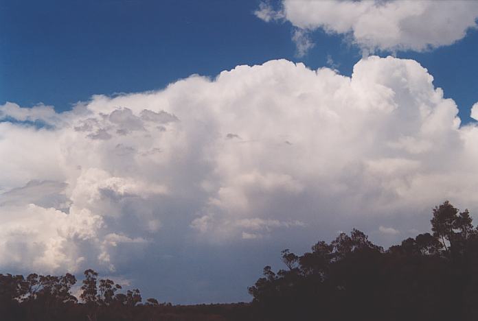 thunderstorm cumulonimbus_incus : Intersection Golden Highway and road to Gulgong, NSW   18 November 2001