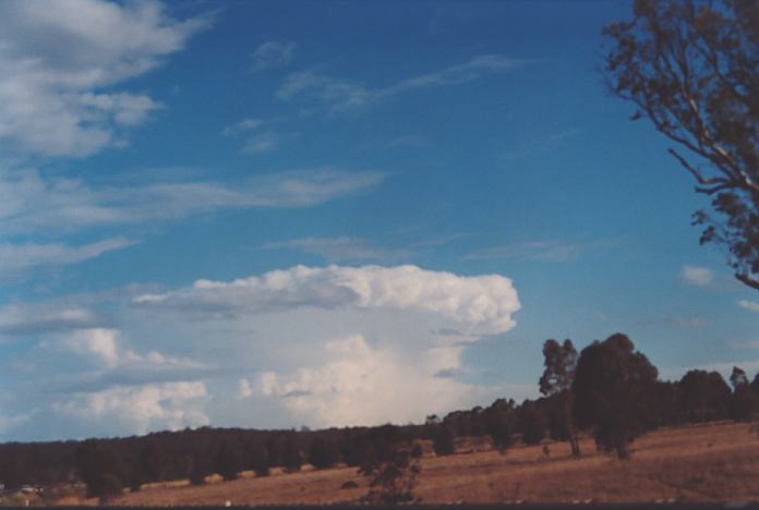 altocumulus altocumulus_cloud : Muswellbrook, NSW   18 November 2001