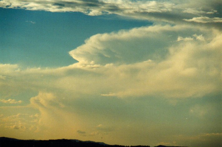 thunderstorm cumulonimbus_incus : McLeans Ridges, NSW   18 November 2001