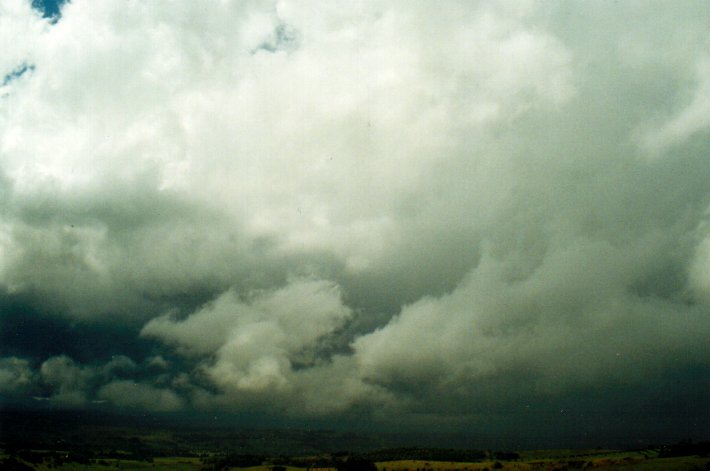 cumulus congestus : McLeans Ridges, NSW   19 November 2001