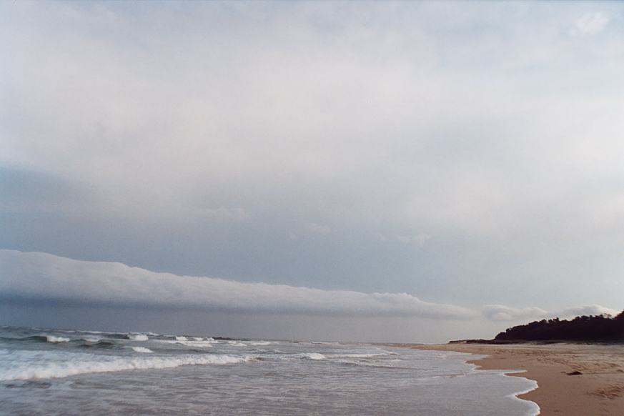 contributions received : Hallidays Beach, NSW<BR>Photo by Geoff Thurtell   24 November 2001