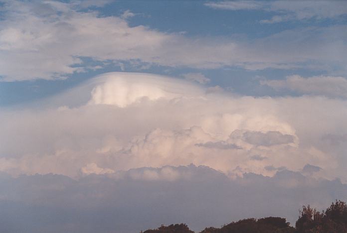 overshoot overshooting_top : Hallidays Point, NSW   24 November 2001