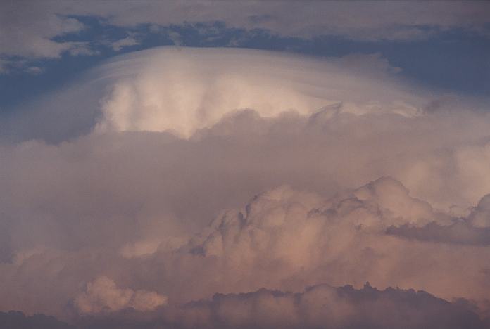 cumulonimbus supercell_thunderstorm : Hallidays Point, NSW   24 November 2001