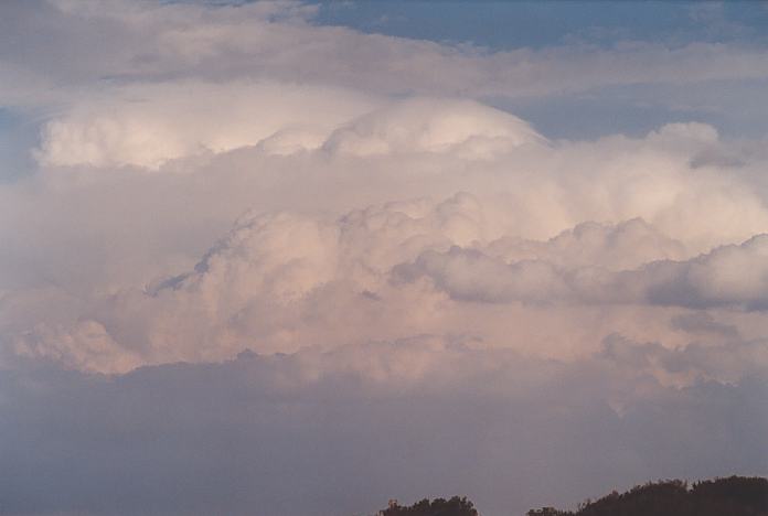 cumulonimbus supercell_thunderstorm : Hallidays Point, NSW   24 November 2001