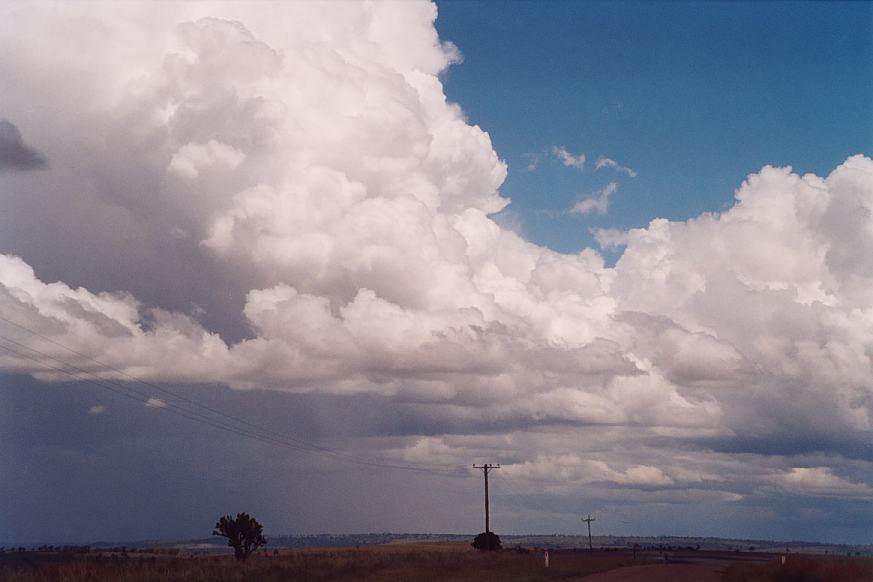 contributions received : North Star, NSW<BR>Photo by Geoff Thurtell   27 November 2001