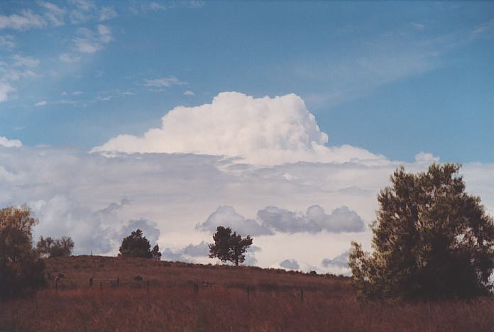 thunderstorm cumulonimbus_incus : Bingara, NSW   27 November 2001