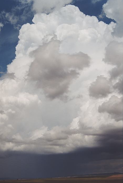 thunderstorm cumulonimbus_incus : Boggabilla Road N of Warialda, NSW   27 November 2001