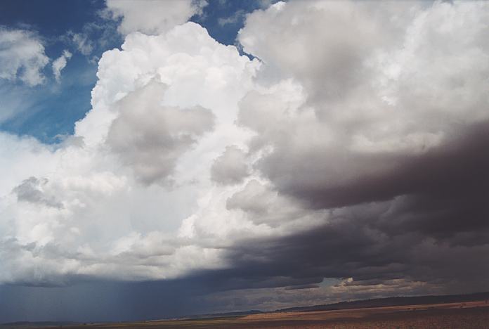 thunderstorm cumulonimbus_incus : Boggabilla Road N of Warialda, NSW   27 November 2001