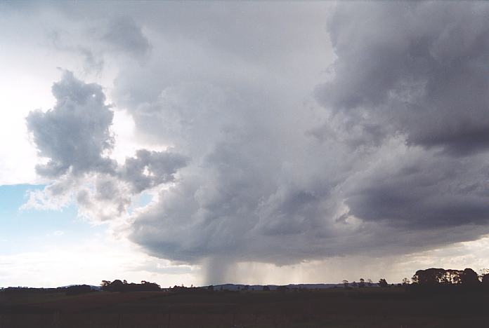 raincascade precipitation_cascade : Dorrigo, NSW   30 November 2001