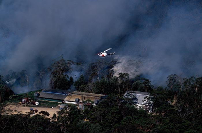 contributions received : western Sydney, NSW<BR>Photo by Brett Vilnis   1 December 2001