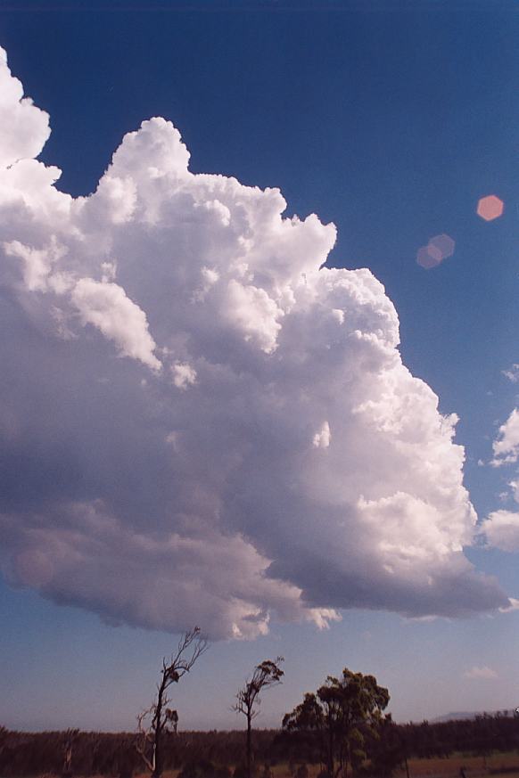 contributions received : Corindi Beach, NSW<BR>Photo by Geoff Thurtell   1 December 2001