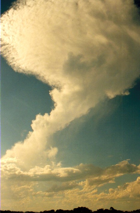 favourites michael_bath : Meerschaum, NSW   1 December 2001