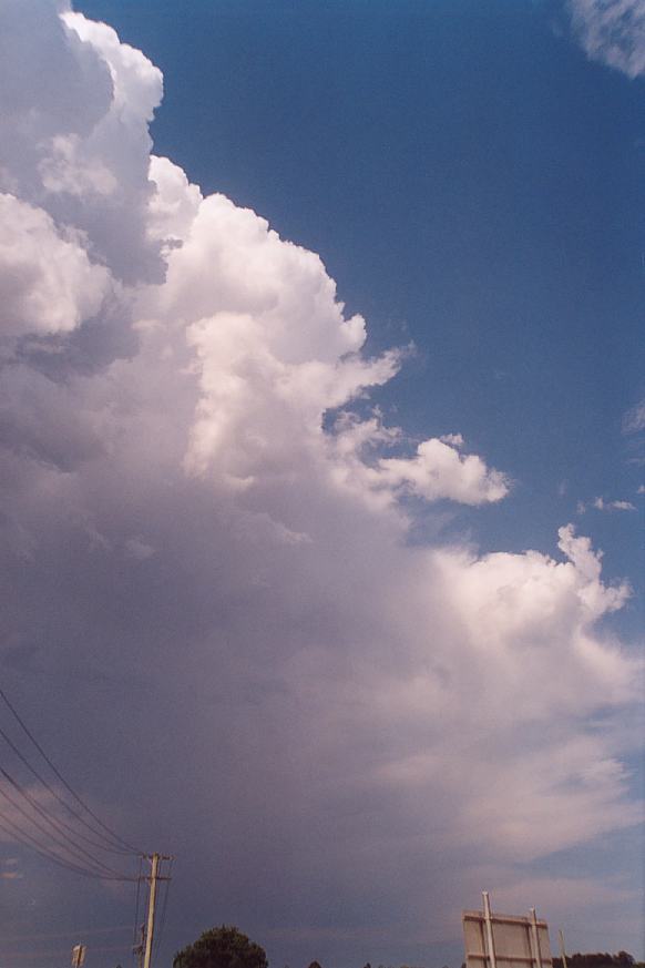 contributions received : Bellingen, NSW<BR>Photo by Geoff Thurtell   3 December 2001