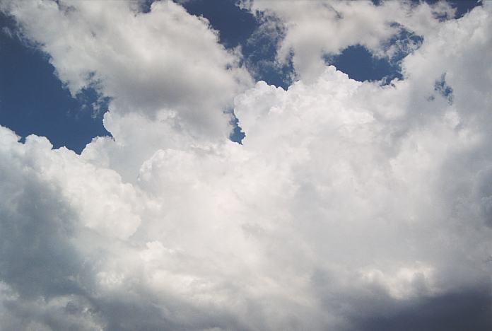 thunderstorm cumulonimbus_calvus : Dorrigo, NSW   3 December 2001