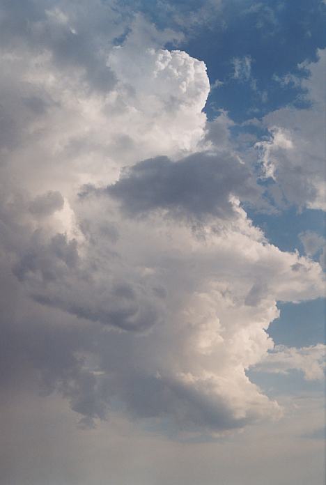 thunderstorm cumulonimbus_incus : Macksville, NSW   3 December 2001