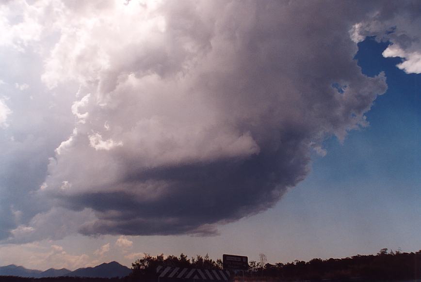 contributions received : Urunga, NSW<BR>Photo by Geoff Thurtell   4 December 2001