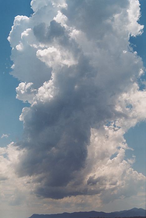 thunderstorm cumulonimbus_calvus : near Urunga, NSW   4 December 2001