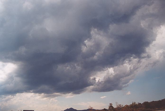 cumulonimbus thunderstorm_base : near Urunga, NSW   4 December 2001