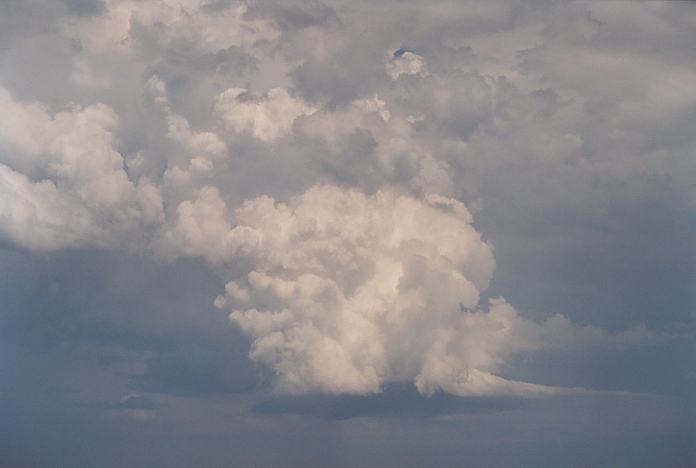 updraft thunderstorm_updrafts : North Beach, NSW   4 December 2001