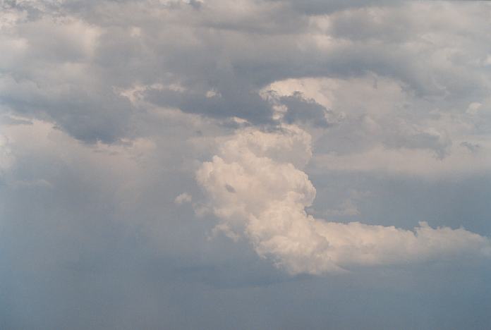 thunderstorm cumulonimbus_incus : North Beach, NSW   4 December 2001