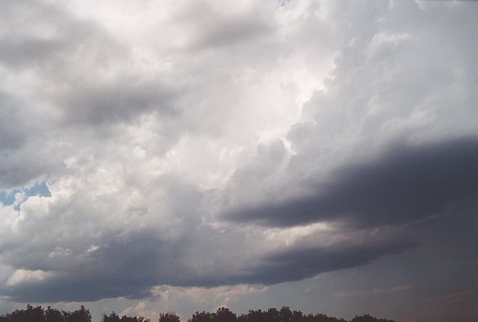 cumulonimbus thunderstorm_base : North Beach, NSW   4 December 2001