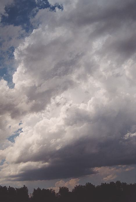 cumulonimbus thunderstorm_base : North Beach, NSW   4 December 2001