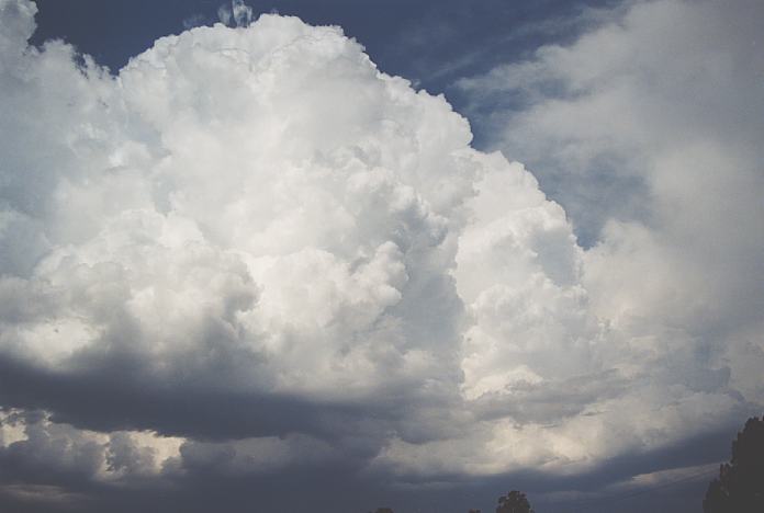 thunderstorm cumulonimbus_calvus : Repton, NSW   4 December 2001