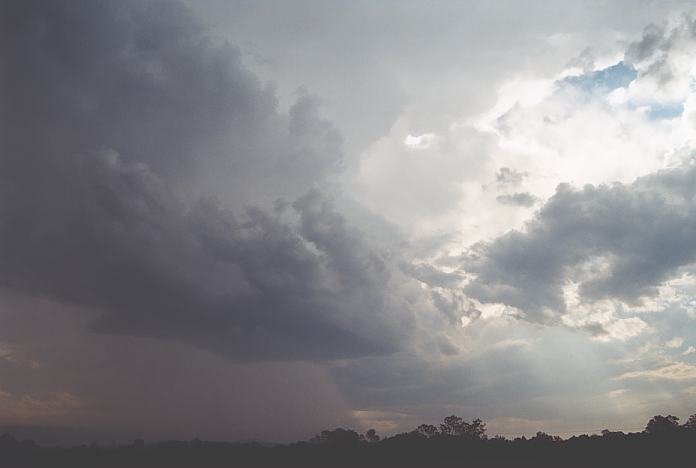 wallcloud thunderstorm_wall_cloud : Warrell Creek, NSW   4 December 2001