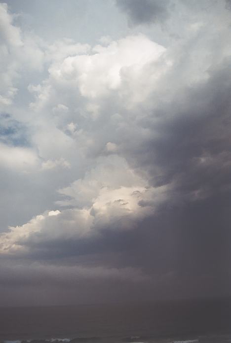 cumulonimbus thunderstorm_base : Scotts Head, NSW   4 December 2001