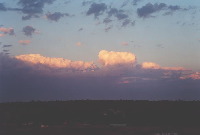 altocumulus castellanus : Schofields, NSW   13 December 2001