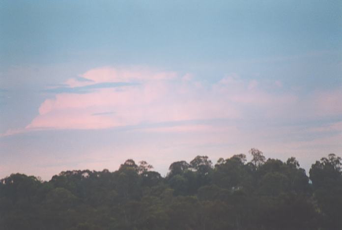 thunderstorm cumulonimbus_incus : Schofields, NSW   20 December 2001