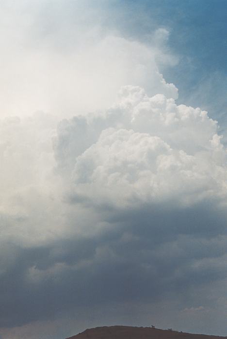 updraft thunderstorm_updrafts : Mulbring, NSW   21 December 2001