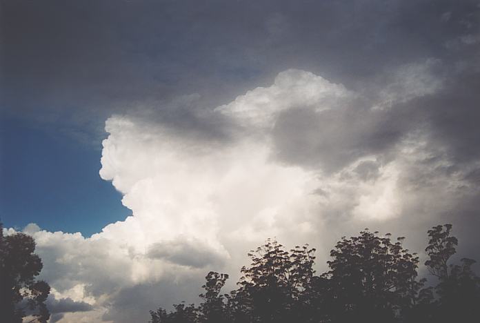 thunderstorm cumulonimbus_incus : 10km S of Warchope, NSW   22 December 2001