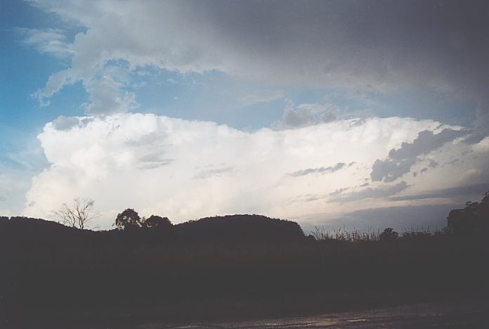 cumulonimbus supercell_thunderstorm : S of Kew, NSW   22 December 2001