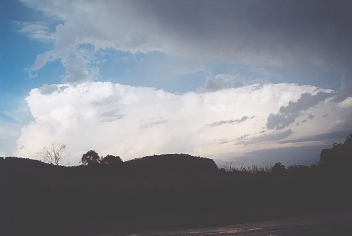 thunderstorm cumulonimbus_incus : S of Kew, NSW   22 December 2001