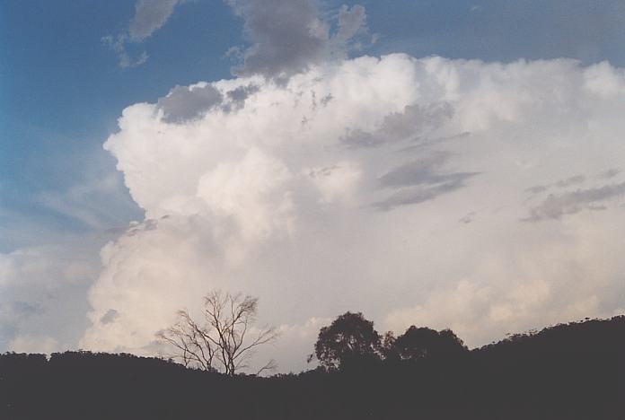 thunderstorm cumulonimbus_incus : S of Kew, NSW   22 December 2001